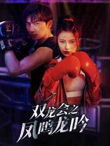 双龙会之凤鸣龙吟（80集）高清无码免费看