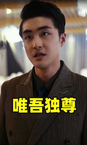 唯吾独尊（96集）好看短剧推荐