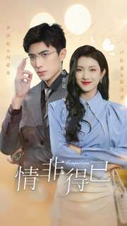 情非得已（60集）爆火短剧抢先看