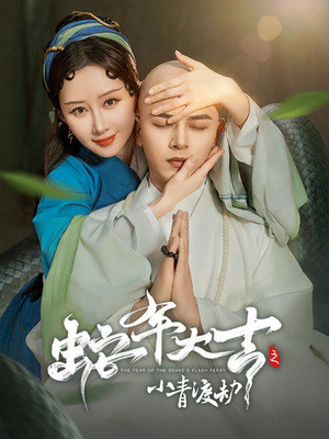 蛇年大吉之小青渡劫（60集）女主角是谁