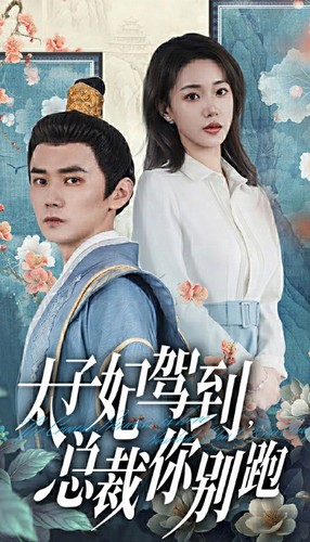 太子妃驾到，总裁你别跑（80集）穿越短剧推荐