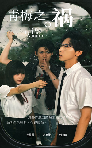 青梅之祸（81集）演的怎么样