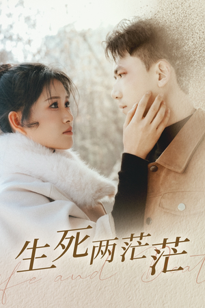 生死两茫茫（35集）短剧介绍