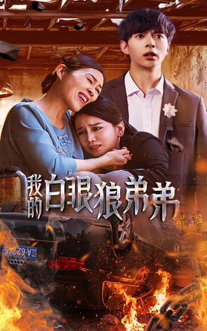 我的白眼狼弟弟（69集）百万短剧抢先看