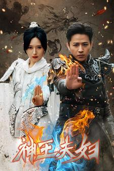 神王夫妇（167集）今日最火短剧