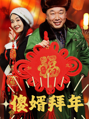 傻婿拜年（32集）大结局完美收官