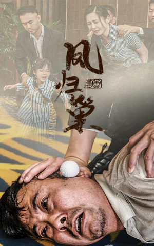 新版：凤归巢（68集）热门了短剧