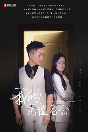 我的危险老公（63集）全集免费观看
