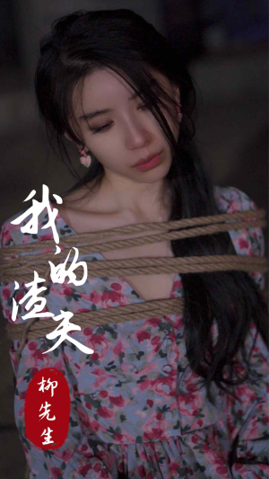 我的渣夫柳先生（80集）评价怎么样