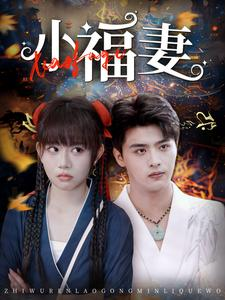 小福妻（62集）火爆短剧推荐