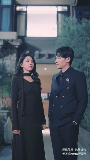 雾港缠绵（100集）热门短剧免费看