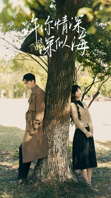 许你情深深似海（86集）解说