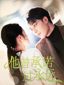 他曾承诺过永远（70集）全集我都看完了