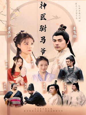 神医驸马爷（80集）免费版