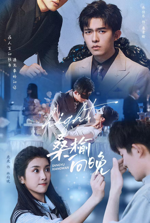 桑榆向晚（65集）爆款短剧推荐