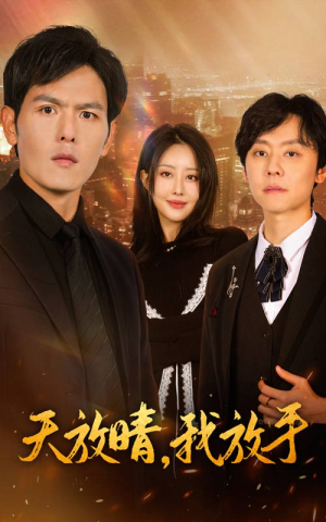 天放晴,我放手(35集) 天放晴,我放手(35集)女频短剧推荐