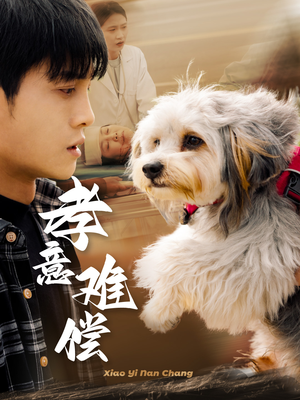 孝意难偿（32集）小短剧抢先看