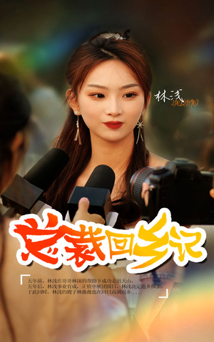 总裁回乡记（67集）UC网盘在线看