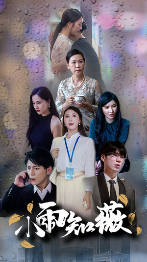 小雨知薇（80集）一共多少集