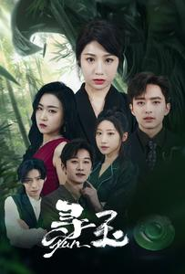 寻玉（77集）看过的人都说好