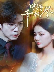 只待千帆尽（40集）男主角是谁