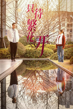 只待繁花开(35集) 只待繁花开(35集)全季一次看完