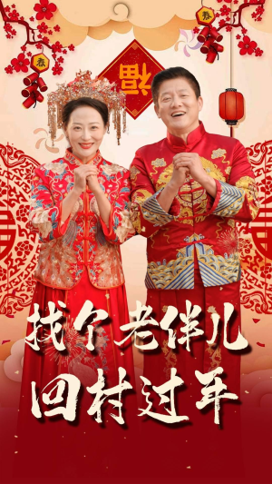 找个老伴儿回村过年（58集）演员表