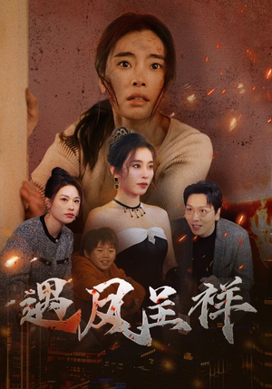 遇凤呈祥（50集）零花钱看整部剧