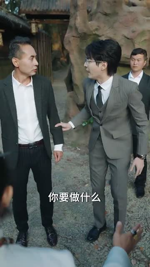 以家之名（30集）看短剧放松一下