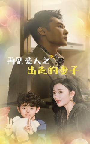 再见爱人之出走的妻子（85集）短剧演员排行榜