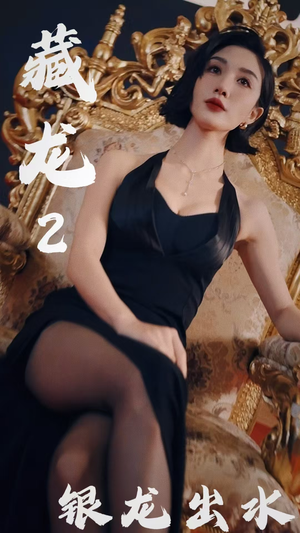 藏龙2银龙出水（35集）精彩短剧来袭