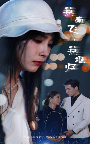 燕南飞，燕难归（31集）甜宠短剧追到爽