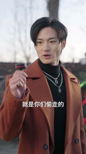 租女老板回家过年（52集）好看的短剧来了