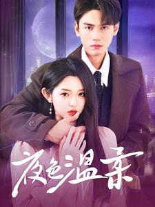 夜色温柔（98集）短剧有好货推荐