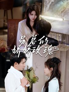 易总的娇娇玫瑰（96集）演的怎么样