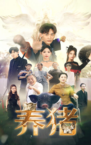 养猪（74集）火爆短剧来袭