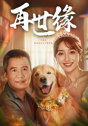 再世缘（41集）好看吗