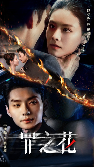 罪之花（56集）一个短剧看全集