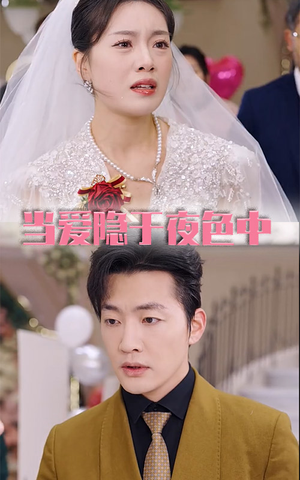 当爱隐于夜色中（37集）全剧看到大结局