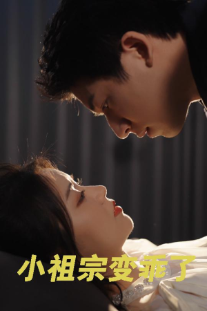 小祖宗变乖了（64集）在线看