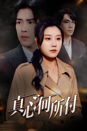 真心何所付（30集）直接追到结尾