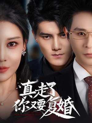 真走了你又要复婚（60集）短剧小说在线看