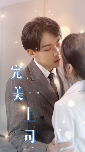 完美上司（30集）在哪个平台看