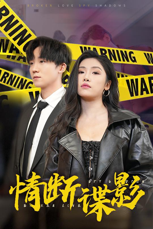 情断谍影（30集）短剧上热门