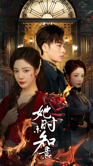 她时未知意（70集）短剧在哪里看