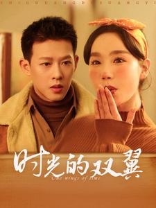 时光的双翼(94集) 时光的双翼(94集)第一集