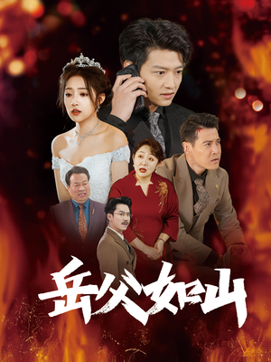 岳父的礼物（30集）全集在线看