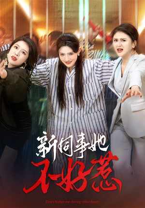 新同事她不好惹（37集）全集都在这里了