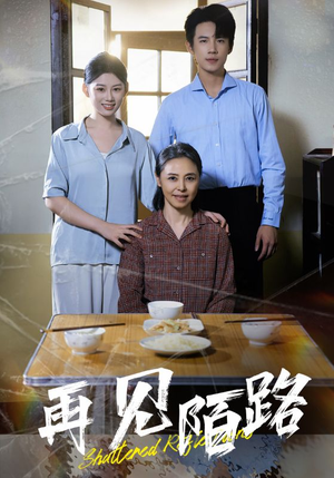 再见陌路（39集） 免费观看全集