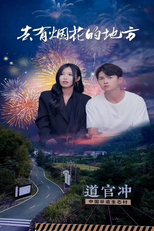 去有烟花的地方（63集） 不用花钱看全剧